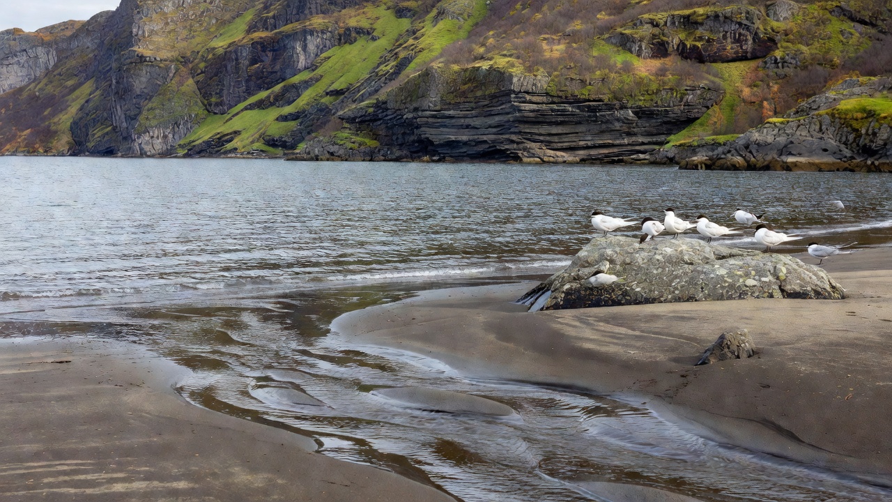 What to Watch in Barrelfjord Year-Round